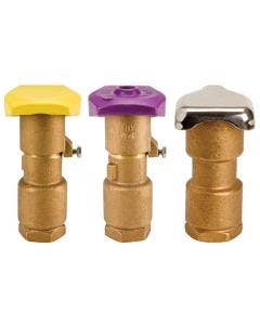 Rain Bird Quick Coupling Valves